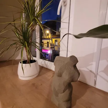 Boleslaviaapartments - Starowka