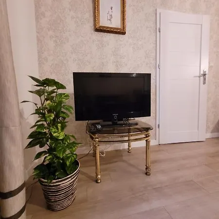 Boleslaviaapartments - Starowka